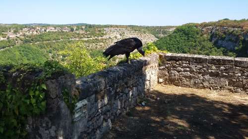 20180819_144238.jpg